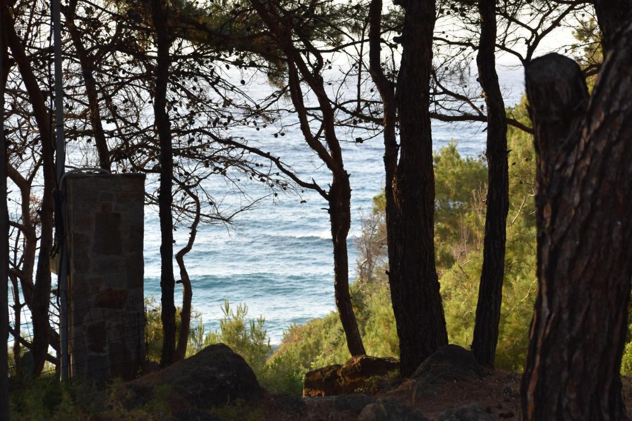 Dolihis Gi, Poseidon Villa Gialiskari  Buitenkant foto